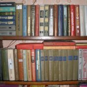 “Бабушкин стеллаж” – a bookshelf, Aygerim Zhapisheva