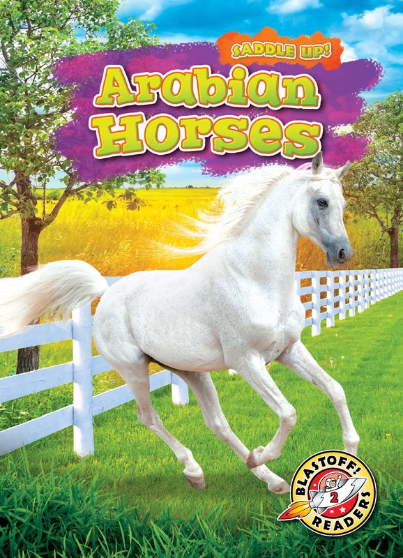 Arabian Horses, Rachel Grack