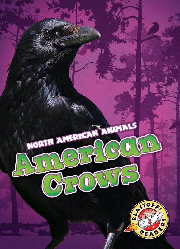 American Crows, Rebecca Sabelko