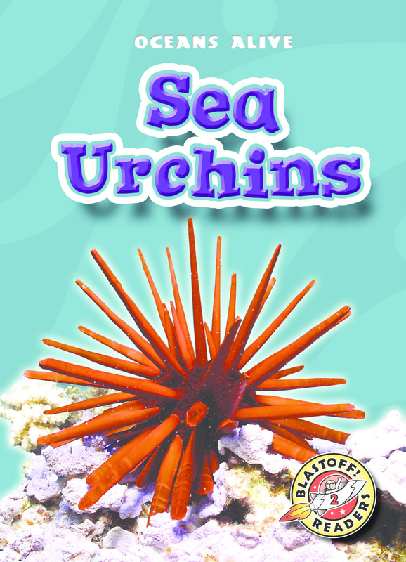 Sea Urchins, Martha Rustad