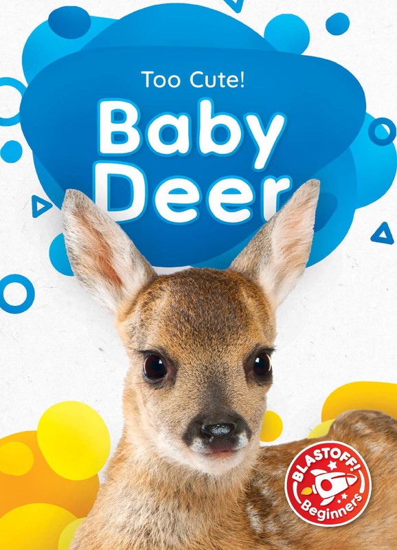 Baby Deer, Rebecca Sabelko