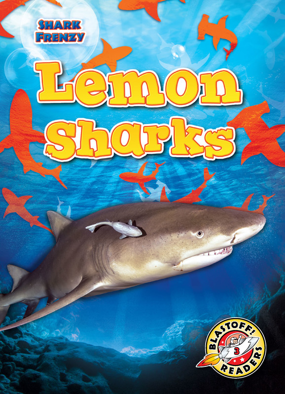 Lemon Sharks, Rebecca Pettiford