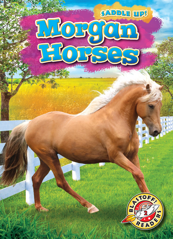 Morgan Horses, Rachel Grack