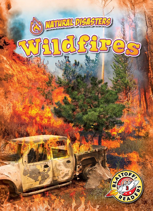 Wildfires, Rebecca Pettiford