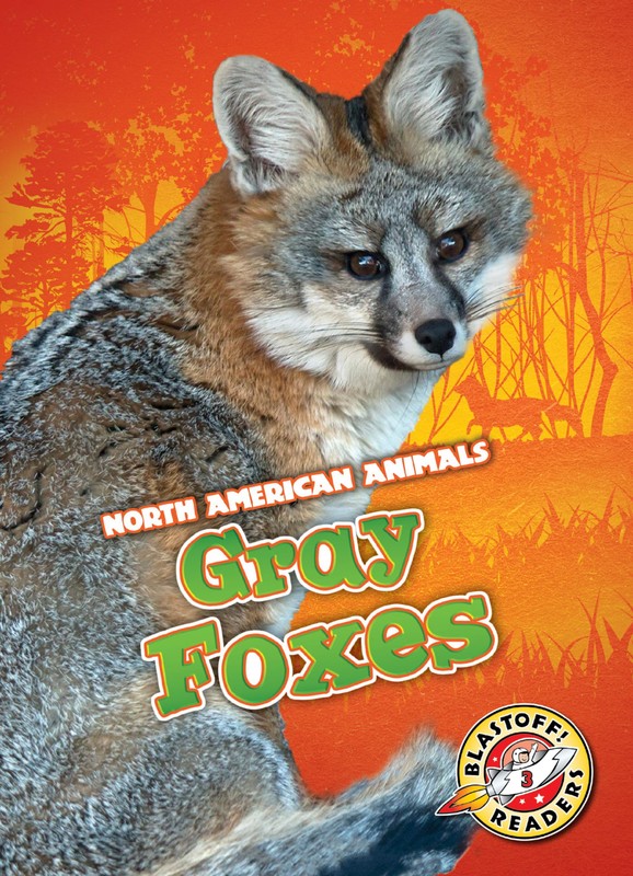 Gray Foxes, Rebecca Sabelko