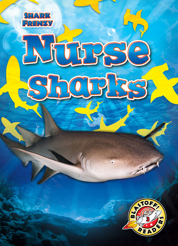 Nurse Sharks, Rebecca Pettiford