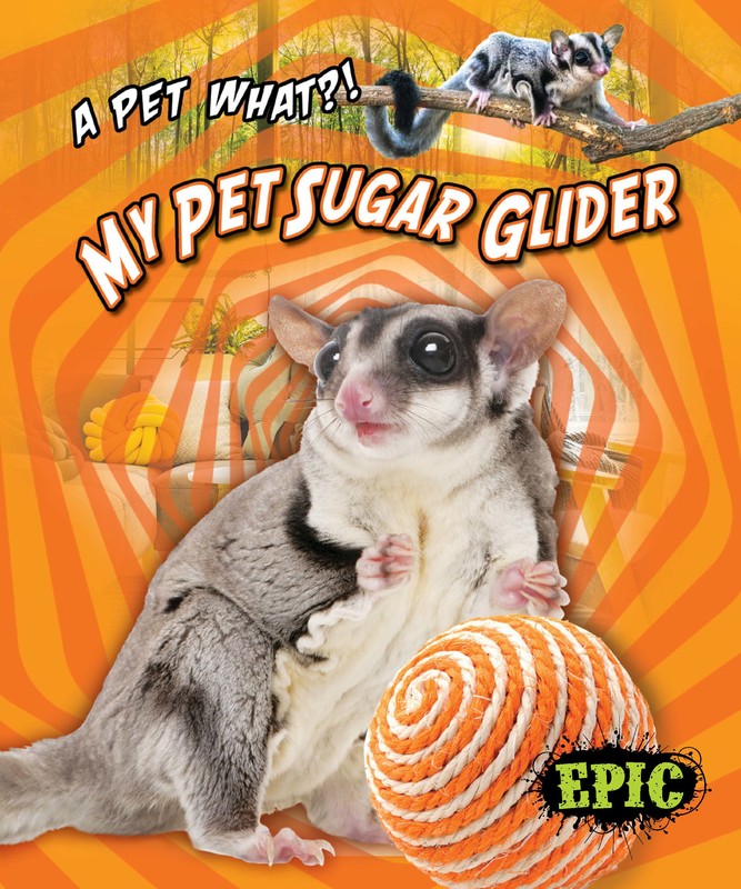 My Pet Sugar Glider, Paige V. Polinsky
