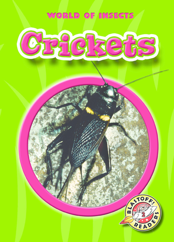 Crickets, Emily K. Green