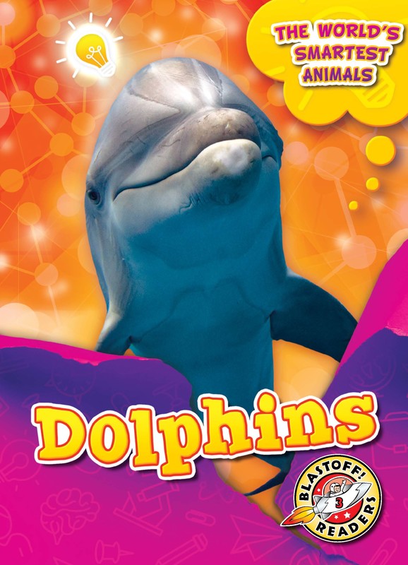 Dolphins, Joanne Mattern