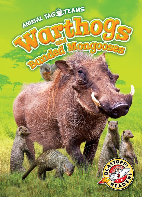 Warthogs and Banded Mongooses, Kari Schuetz