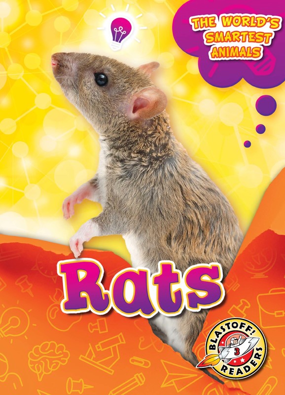 Rats, Joanne Mattern