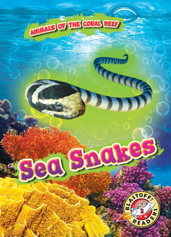 Sea Snakes, Lindsay Shaffer