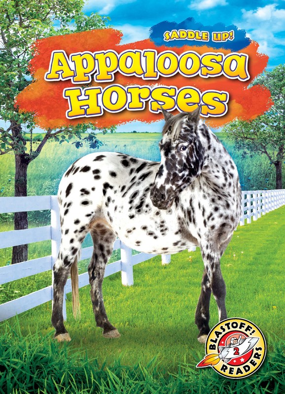 Appaloosa Horses, Rachel Grack