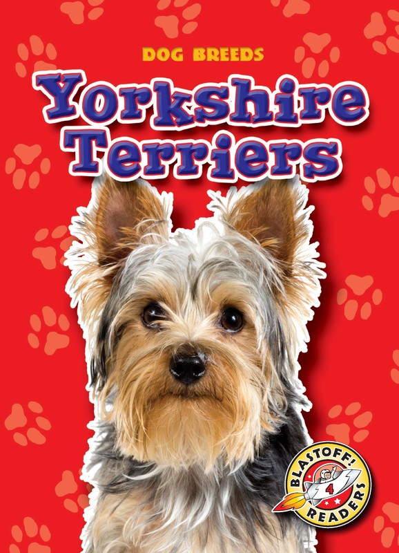 Yorkshire Terriers, Sara Green