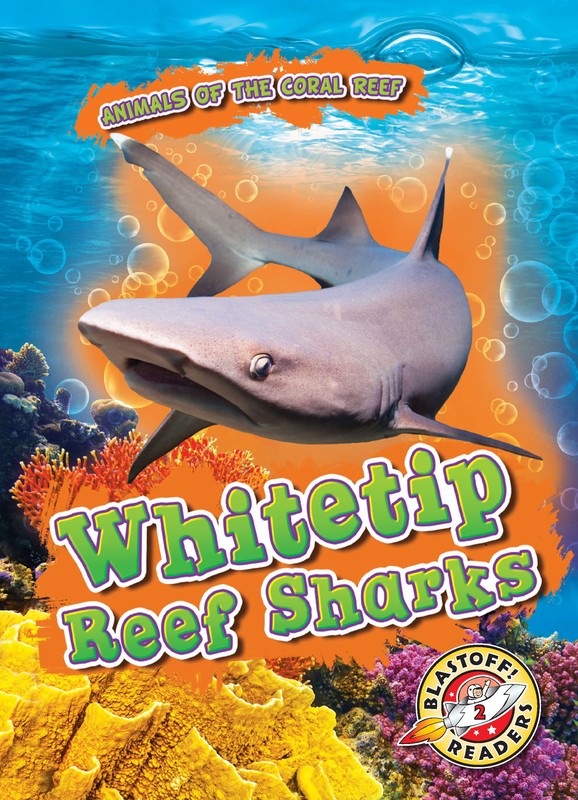 Whitetip Reef Sharks, Lindsay Shaffer