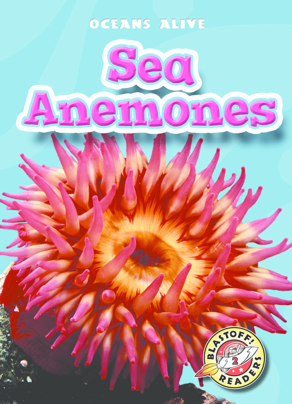 Sea Anemones, Martha Rustad