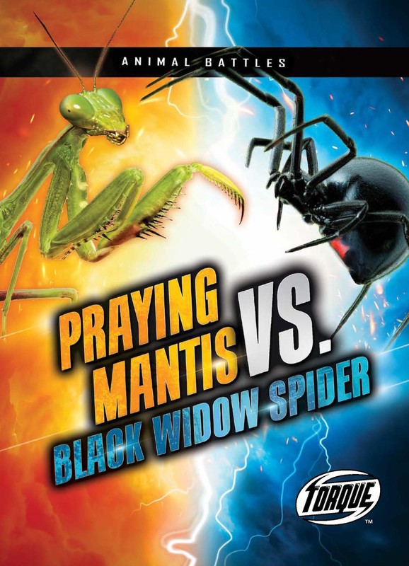 Praying Mantis vs. Black Widow Spider, Kieran Downs