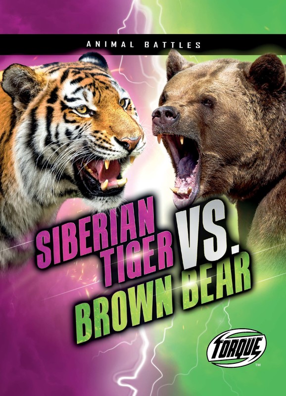 Siberian Tiger vs. Brown Bear, Nathan Sommer