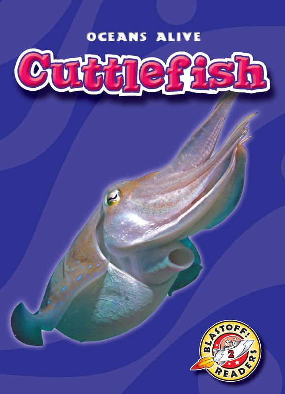 Cuttlefish, Colleen Sexton