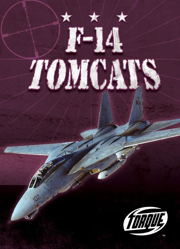 F-14 Tomcats, David Jack