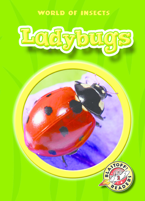 Ladybugs, Martha Rustad
