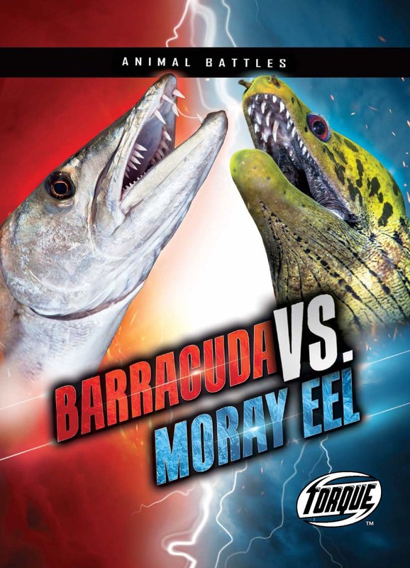 Barracuda vs. Moray Eel, Kieran Downs