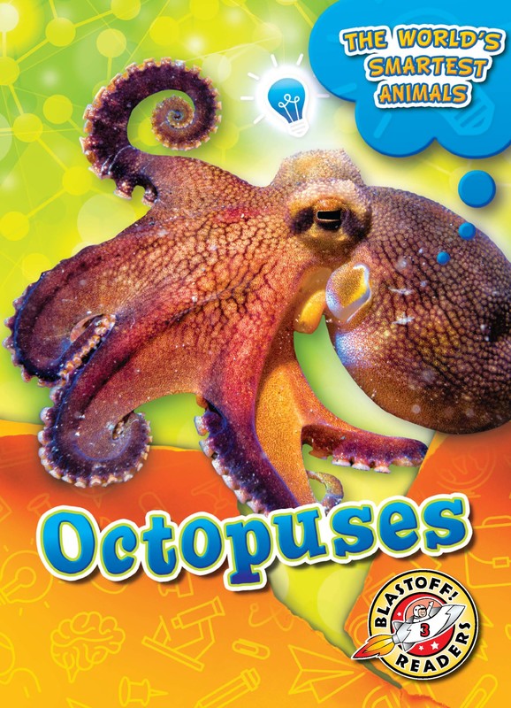 Octopuses, Joanne Mattern