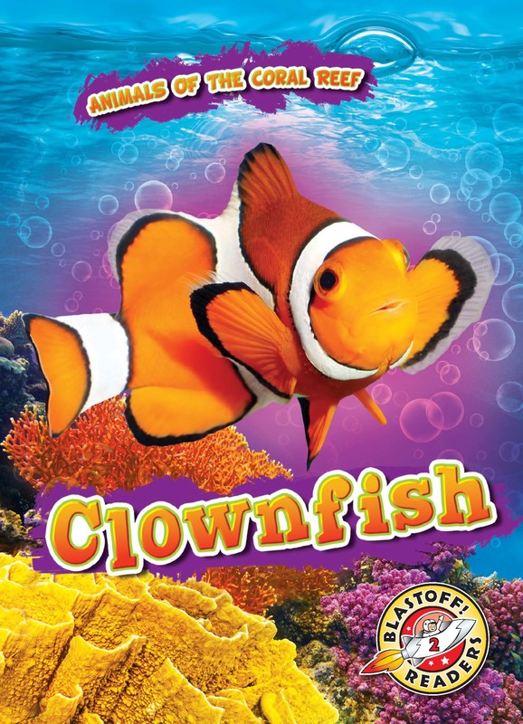 Clownfish, Lindsay Shaffer
