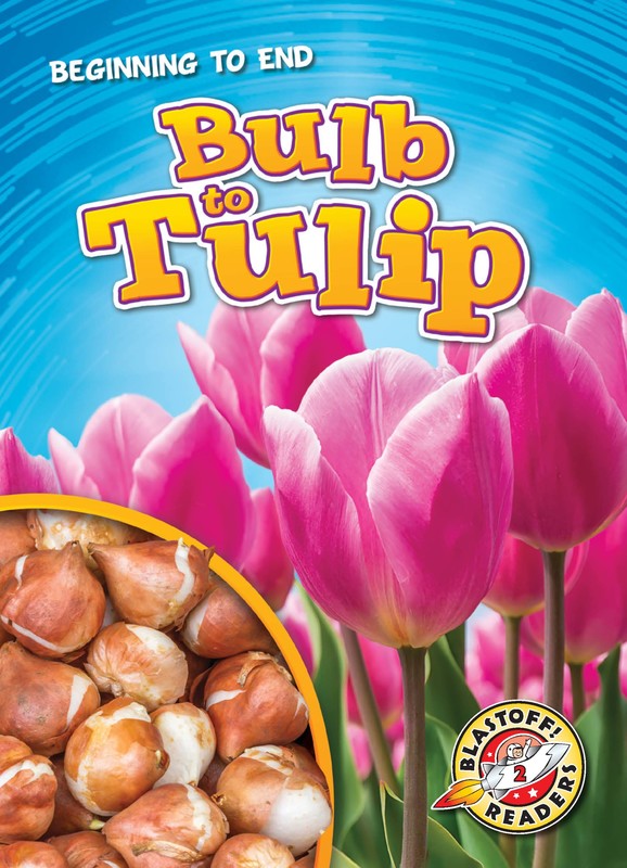 Bulb to Tulip, Rachel Grack