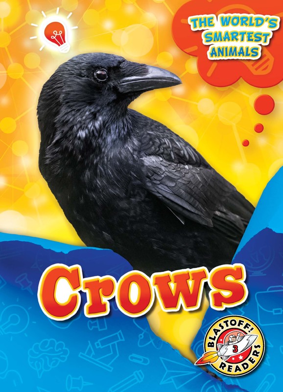 Crows, Joanne Mattern