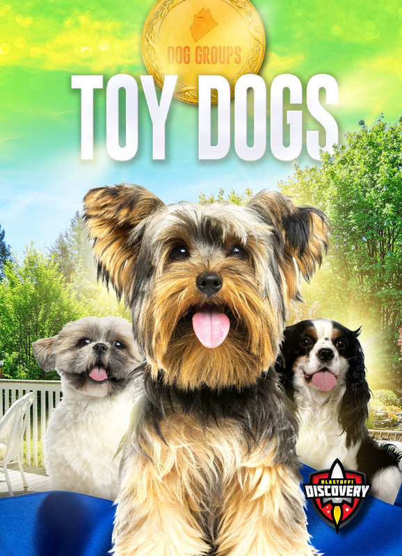 Toy Dogs, Elizabeth Noll