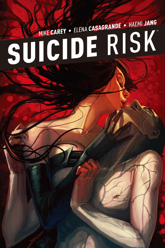 Suicide Risk Vol. 5, Mike Carey