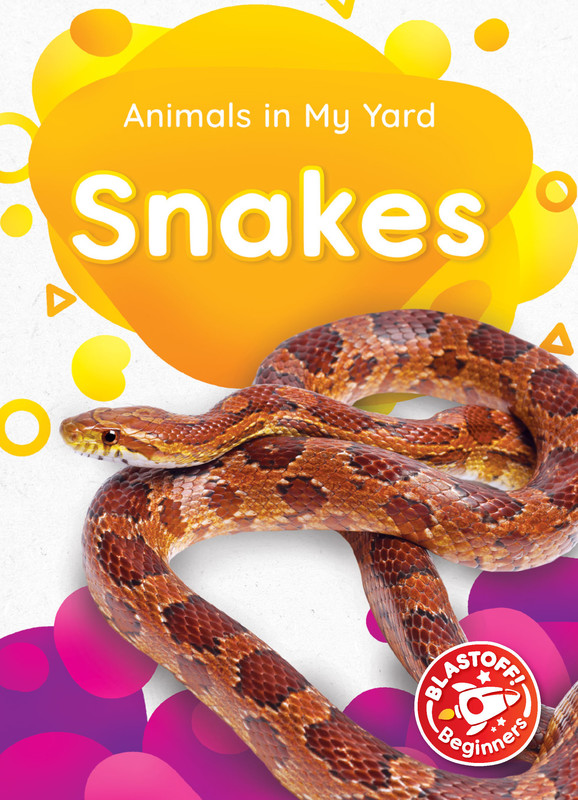 Snakes, Amy McDonald