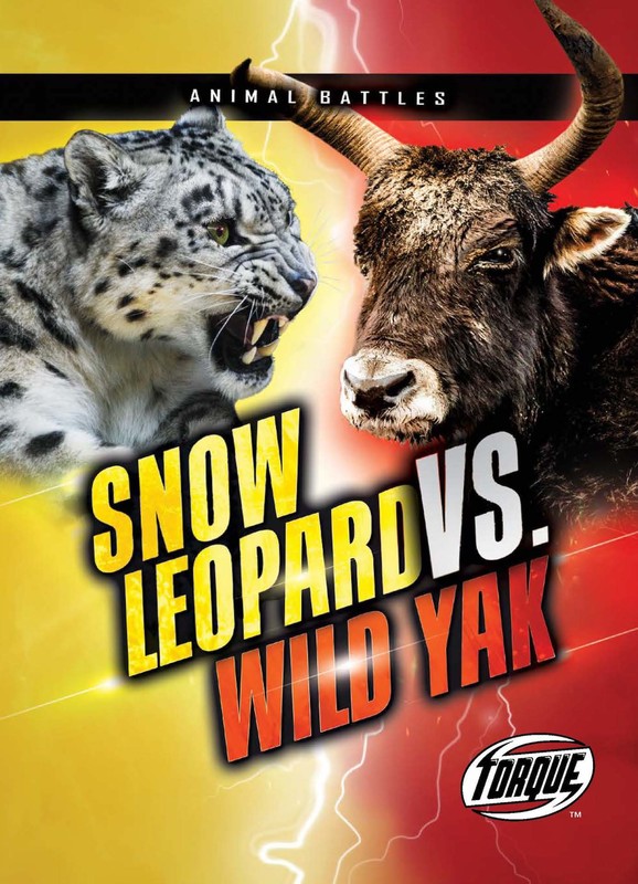 Snow Leopard vs. Wild Yak, Kieran Downs