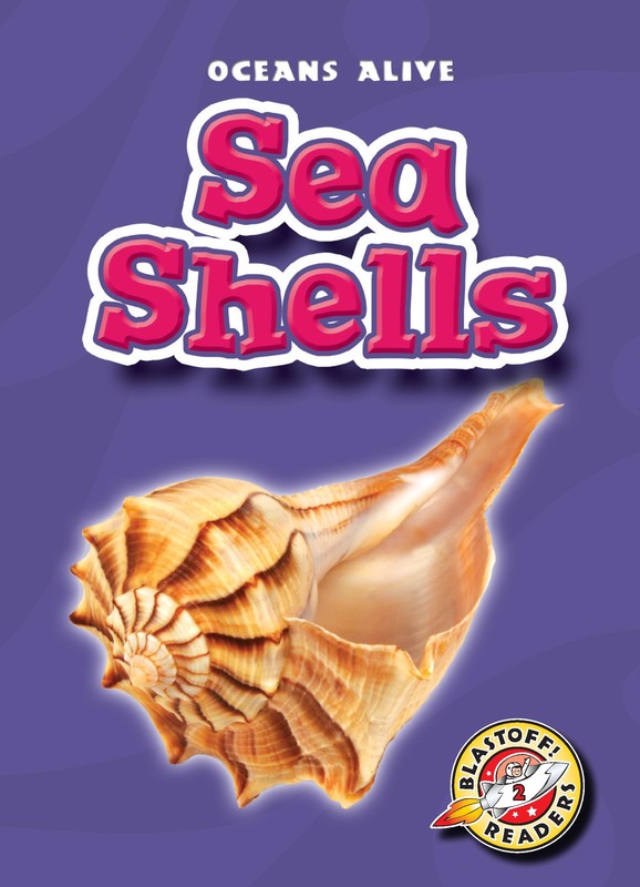 Sea Shells, Shari Skeie