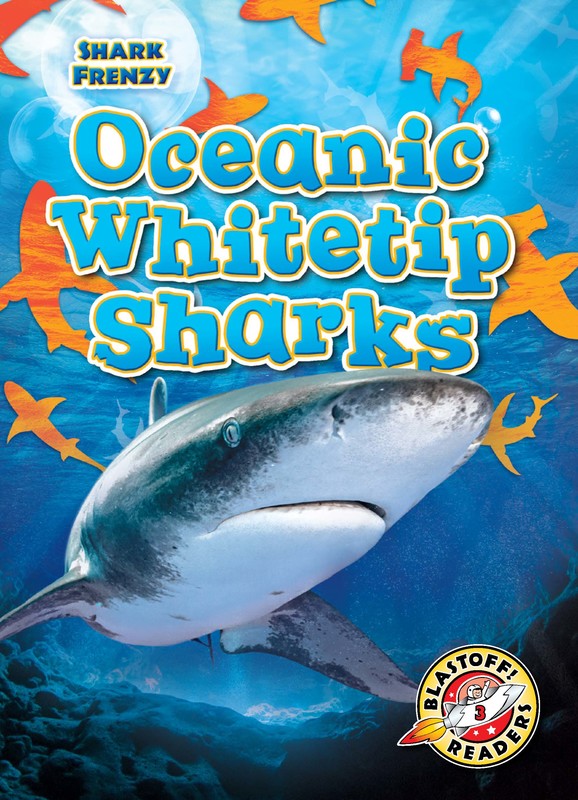 Oceanic Whitetip Sharks, Thomas K. Adamson