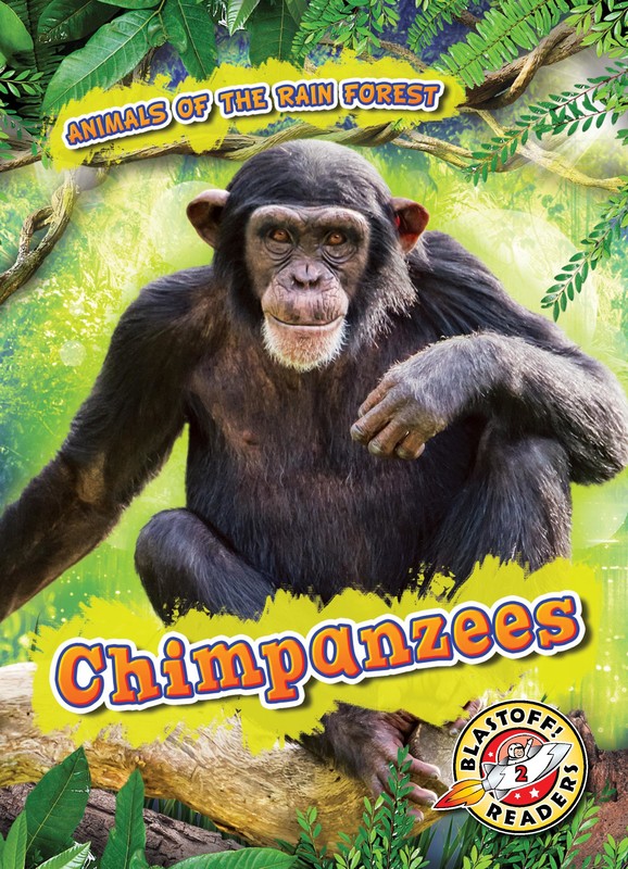 Chimpanzees, Rachel Grack