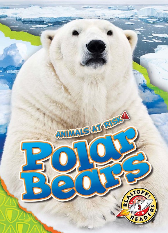 Polar Bears, Rachel Grack