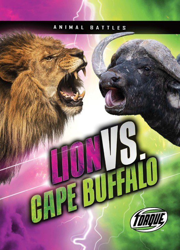 Lion vs. Cape Buffalo, Kieran Downs