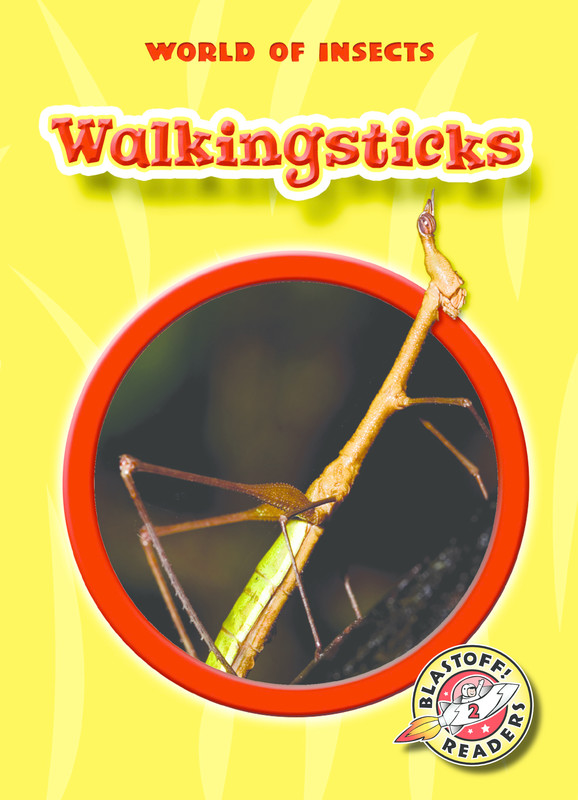Walkingsticks, Emily K. Green