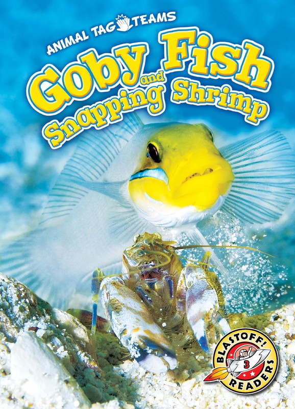 Goby Fish and Snapping Shrimp, Kari Schuetz