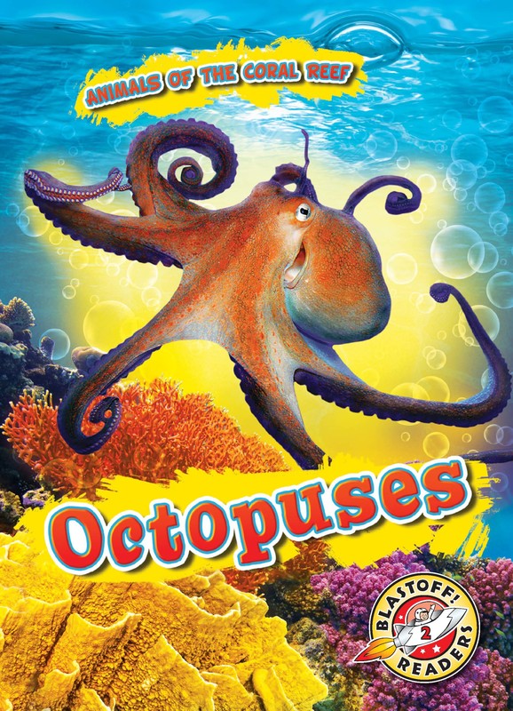 Octopuses, Lindsay Shaffer