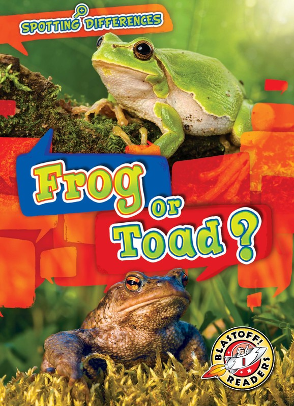 Frog or Toad?, Kirsten Chang