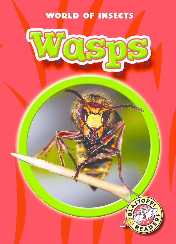 Wasps, Martha Rustad