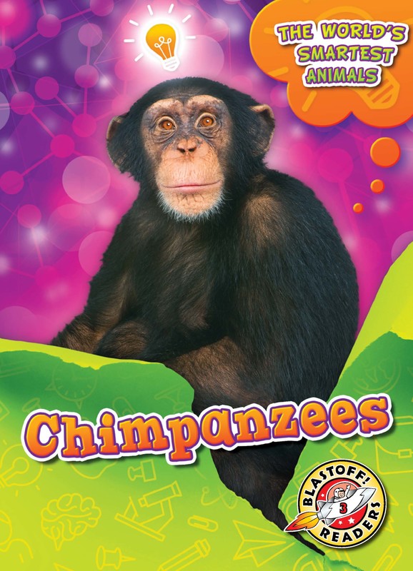 Chimpanzees, Joanne Mattern