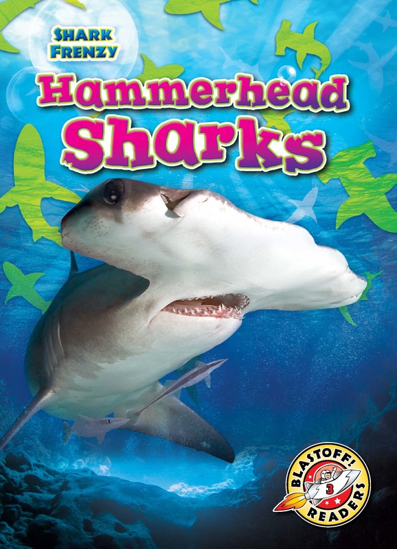 Hammerhead Sharks, Rebecca Pettiford