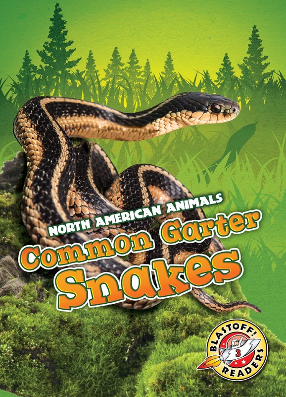 Common Garter Snakes, Rebecca Sabelko