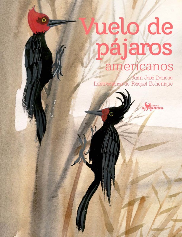 Vuelo de pájaros americanos, Juan José Donoso