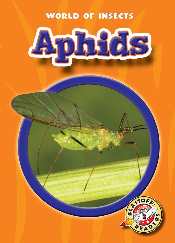 Aphids, Colleen Sexton