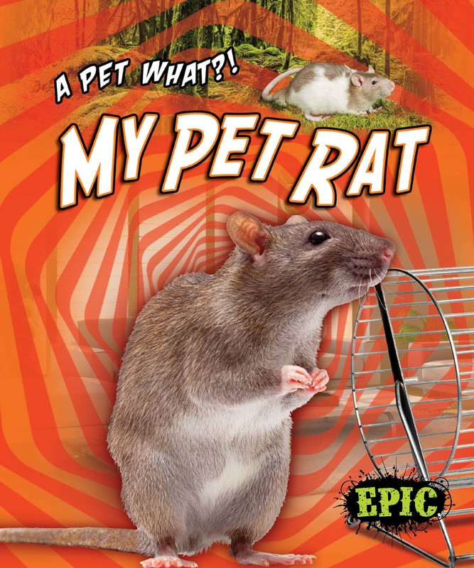 My Pet Rat, Paige V. Polinsky